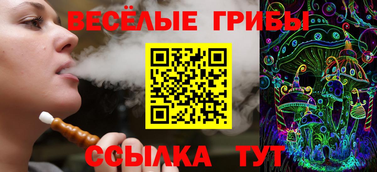 Псилоцибиновые грибы Cubensis Отрадный