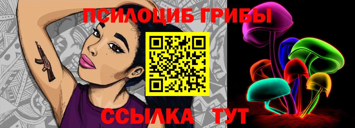 Отрадный  Псилоцибиновые грибы Psilocybe  Псилоцибиновые грибы GOLDEN TEACHER  Вход с VPN 